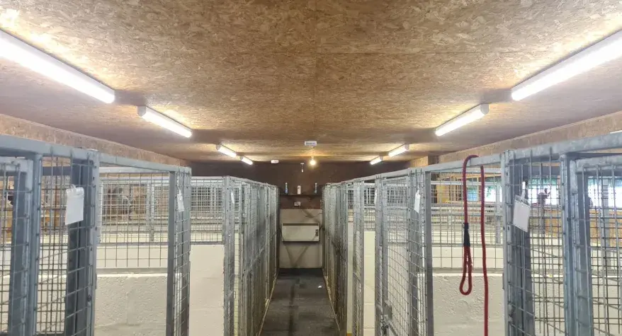 Agricultural and Horticultural Electrical Services