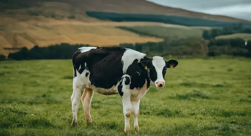 Agricultural Electrician Ayrshire